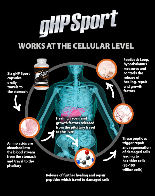 how_it_works_gHP_Sport